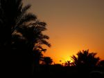 sunrise-makadi-resort-hurghada-10_t.jpg
