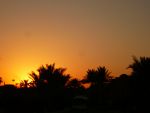 sunrise-makadi-resort-hurghada-09_t.jpg